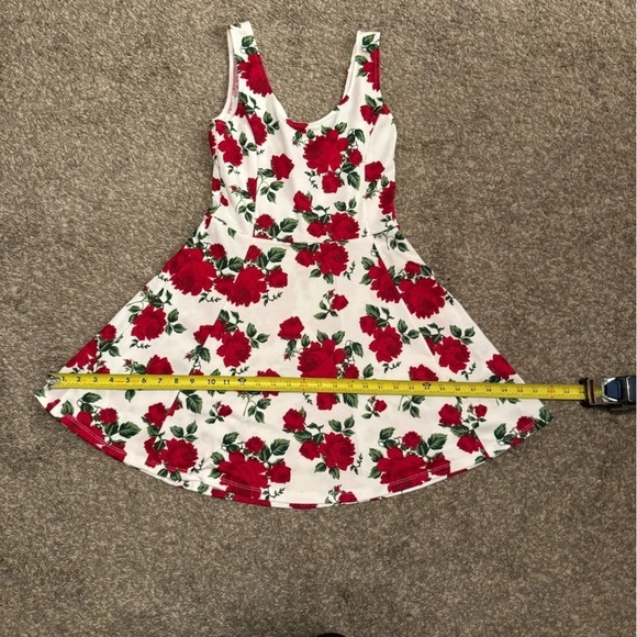 H & M ROSE DRESS SIZE 8 - Picture 10 of 16